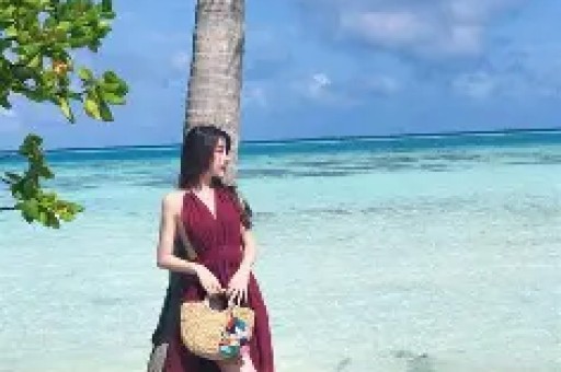 法国八卦杂志：马克龙“暧昧短信”引发耳光